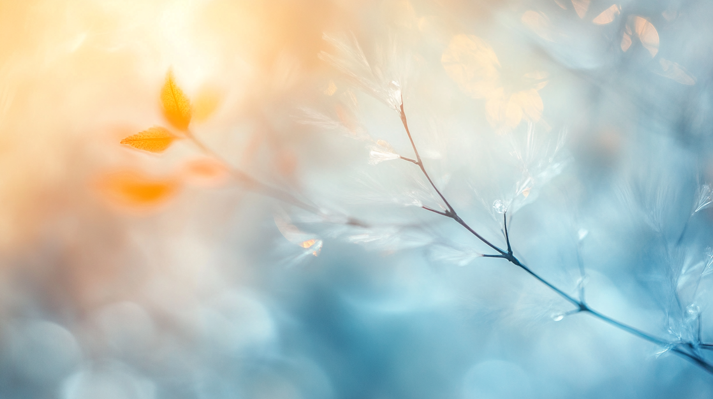 Latent Bloom