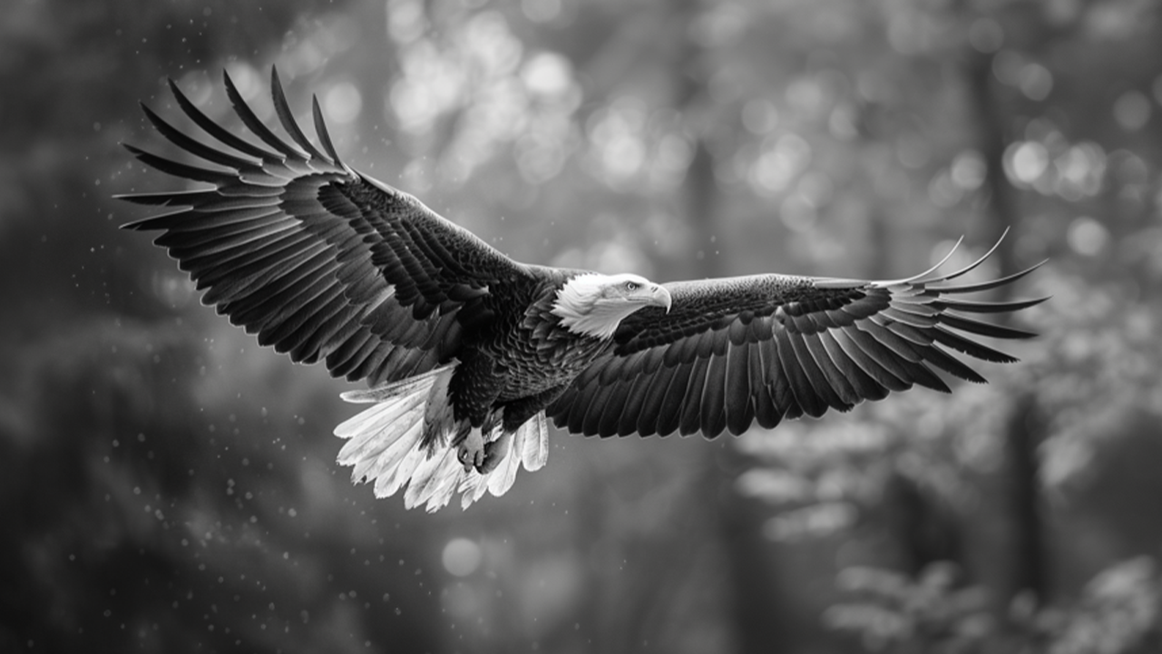 Soaring Majesty